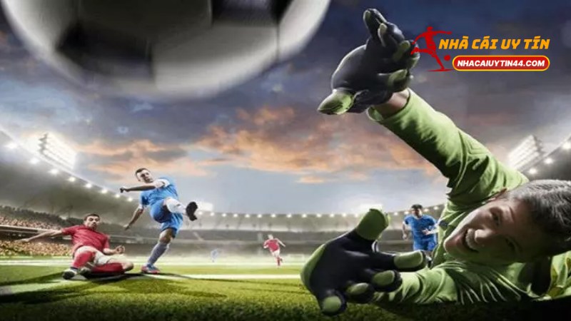 Cược Kép Là Gì