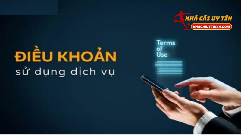 Điều Khoản Và Điều Kiện Tại Nhacaiuytin44